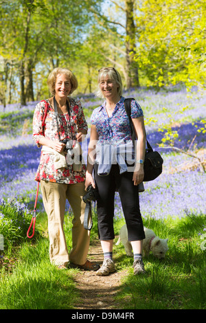 Le donne a piedi attraverso Bluebells crescendo in Jiffey Knotts boschi a Brathey, vicino a Ambleside Foto Stock