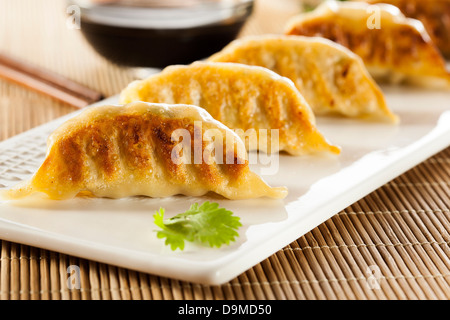 In casa Vegetariano orientale Potstickers con salsa di soia e carne di maiale Foto Stock