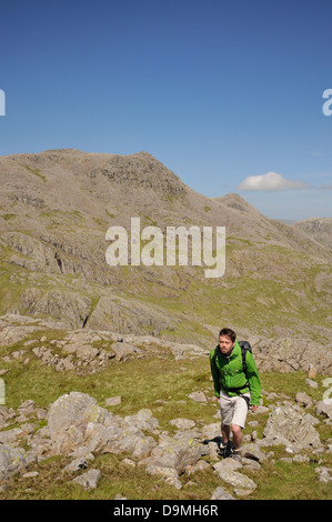 Walker su Scafell con Scafell Pike in background, estate passeggiate in montagna nel Lake District inglese Foto Stock