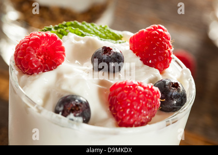 Fatti in casa freschi organici Parfait di frutta con frutti di bosco e granola Foto Stock