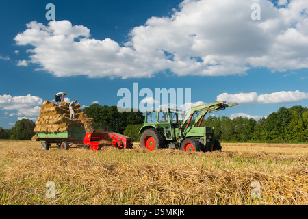 Il raccolto il tempo del raccolto di grano raccolto di grano Landwirtschschaft estate paglia paglia premere la pressatura della paglia Trecker Foto Stock