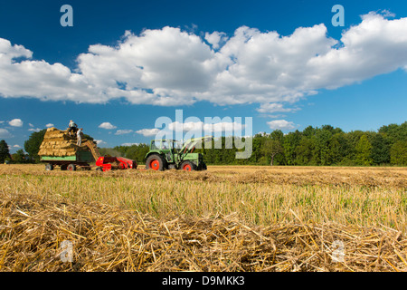 Il raccolto il tempo del raccolto di grano raccolto di grano Landwirtschschaft estate paglia paglia premere la pressatura della paglia Trecker Foto Stock