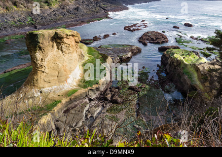 Depoe Bay Oregon negli Stati Uniti. Le alghe ricopre le rocce esposte dalla bassa marea Foto Stock