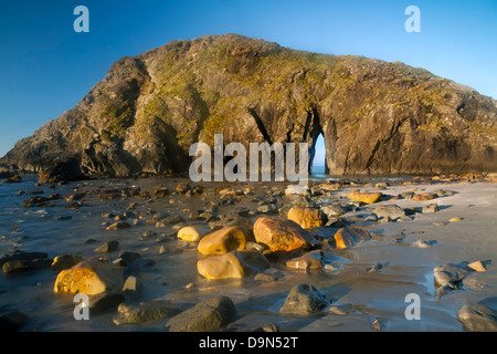 O01081-00...OREGON - massi colorati sulla spiaggia di roccia in Harris Beach Stato Area ricreativa. Foto Stock