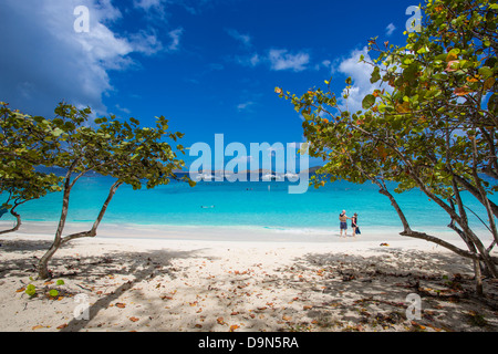 Giovane a camminare sulla Luna di Miele Beach sull'isola caraibica di San Giovanni nelle Isole Vergini Americane Foto Stock