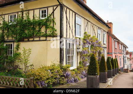 Il Glicine floribunda cresce su un giallo casa con travi di legno davanti al villaggio storico street. Lavenham, Suffolk, Inghilterra, Regno Unito, Gran Bretagna Foto Stock