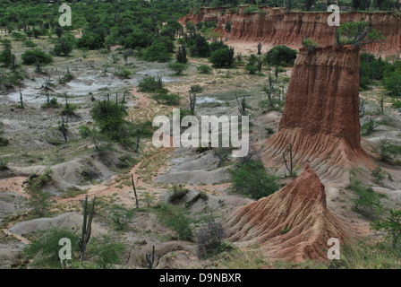 Paesaggio colpo di miniatura Tatacoa desert, dipartimento di Huila, Colombia Foto Stock