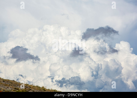 Una cella di tuono edificazione nel cumulo nimbus nuvole sopra Skala Eresou su Lesbo, Grecia. Foto Stock