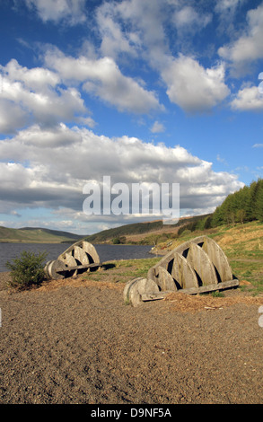 Shinglehook arte moderna da Matt Baker, a St Mary's Loch, Superiore Yarrow Valley, frontiere, Scotland, Regno Unito Foto Stock