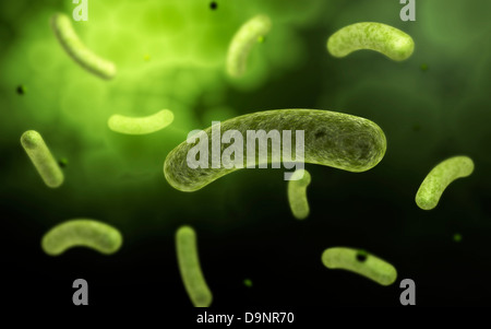 Immagine concettuale di batteri comuni. Foto Stock