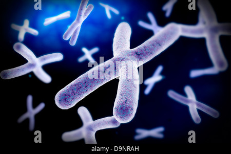 Vista microscopica del cromosoma. Foto Stock
