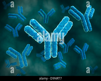 Vista microscopico di immunoglobulina G molecole. Foto Stock