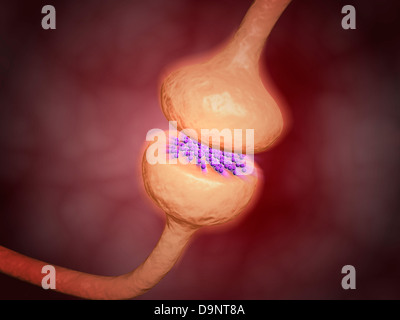 Vista ravvicinata di sinapsi nel sistema nervoso. Foto Stock