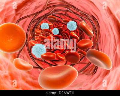 Vista microscopica del flusso sanguigno all'interno di una arteria con il dispiegamento dello stent. Foto Stock