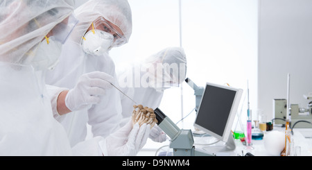 General-vista di tre scienziati in un laboratorio di chimica la manipolazione degli strumenti di laboratorio, test e utilizzando tecniche di chimica intorno a un laboratorio t Foto Stock