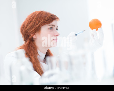 Close-up di donna in un laboratorio di iniettare un arancione Foto Stock