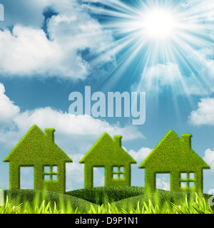 Green House. Abstract gli sfondi ambientali Foto Stock