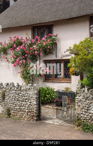 Cottage con il tetto di paglia con rose rampicanti nel Devon, Inghilterra, Regno Unito. Foto Stock