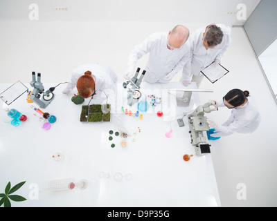 Bird-occhio di due insegnanti di persone in un laboratorio di chimica supervisione di due studenti di condurre esperimenti su una tabella lab con colorati Foto Stock