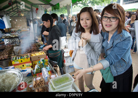 Vietnam Festival aperto 2013 (VOF 2013) è una cultura Vietnamita festival che celebra il meglio del Vietnam a Londra. Foto Stock