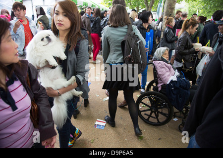 Vietnam Festival aperto 2013 (VOF 2013) è una cultura Vietnamita festival che celebra il meglio del Vietnam a Londra. Foto Stock