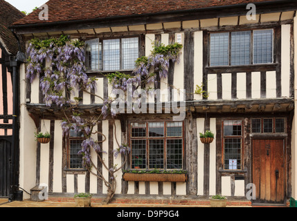 Il Glicine floribunda cresce su una casa in legno davanti al villaggio storico. Market Place, Lavenham, Suffolk, Inghilterra, Regno Unito, Gran Bretagna Foto Stock