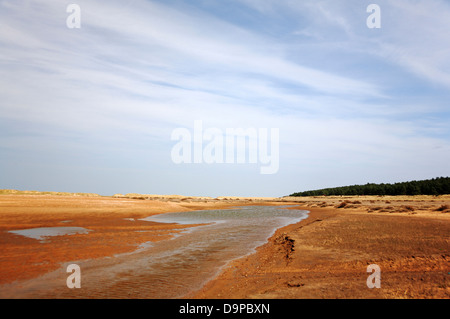 Una vista di Holkham pasti a bassa marea sulla Costa North Norfolk, Inghilterra, Regno Unito. Foto Stock