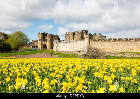 Alnwick Castle, Northumberland Foto Stock