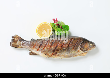 Studio shot di trota alla griglia Foto Stock