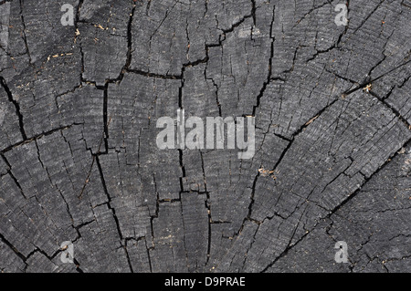 cracked wood texture close up. Wooden background Foto Stock