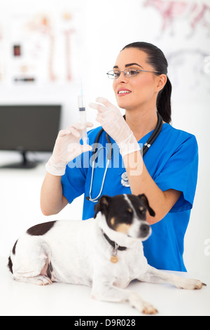 Bella assistente veterinario la preparazione di iniettare il cane Foto Stock