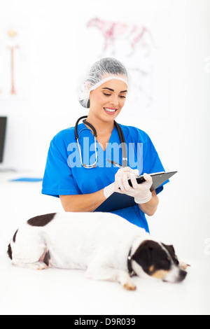 Veterinario femmina la scrittura di report dopo esame del cane Foto Stock