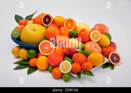 Raggruppamento di agrumi freschi Arance Pompelmi i tangelos Limoni Limette Foto Stock