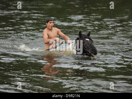 Ragazzo bagna il suo cavallo nel fiume Foto Stock