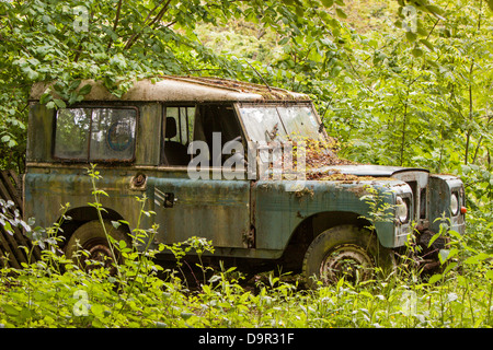 Vecchio Landrover 90 decadendo nel cortile, England, Regno Unito Foto Stock