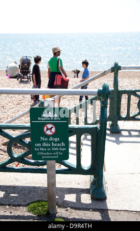 I cani non firmare a Brighton / lungomare Hove con la famiglia sulla spiaggia in background Foto Stock