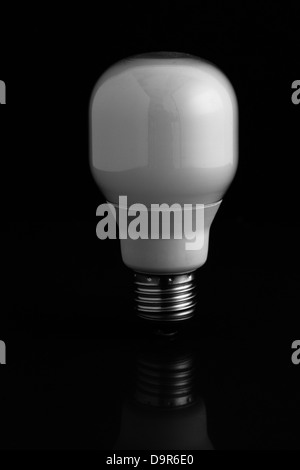 Luce a risparmio energetico la lampadina in piedi su sfondo nero Foto Stock