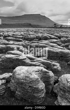 Pavimento in pietra calcarea a Souther Scales Moor, con vista verso Ingleborough, Yorkshire Dales National Park, Inghilterra Foto Stock