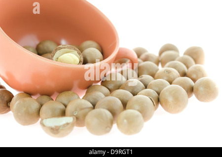 Sgusciate e senza guscio di noci di macadamia su sfondo bianco Foto Stock