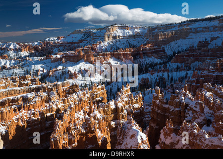 L'Anfiteatro in inverno, Bryce Canyon dello Utah, Stati Uniti d'America Foto Stock