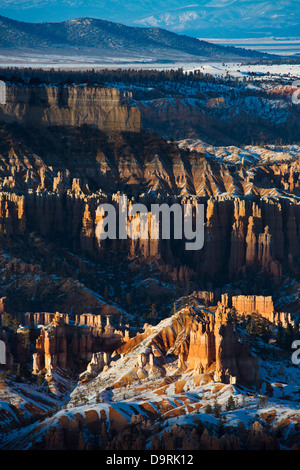 Ultima luce sulla hoodoos di Bryce Canyon dello Utah, Stati Uniti d'America Foto Stock