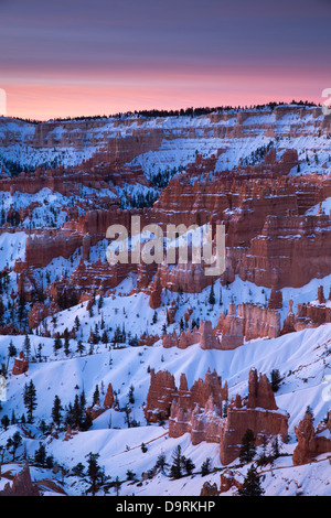 Hoodoos and Amphitheatre of Bryce Canyon, Utah, USA Foto Stock