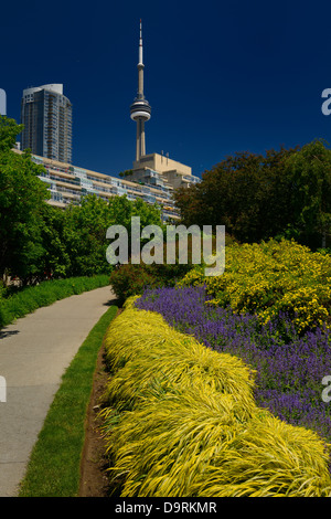 Blu e fiori di colore giallo lungo il percorso nella musica di Toronto con giardino condomini e CN Tower Foto Stock