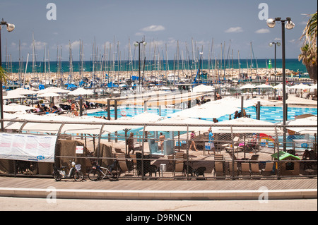 Israele Tel Aviv Gay Pride giorno Gordon Beach piscina leisure imbarcazione da diporto port harbour marina Mar Mediterraneo blue sky palme Foto Stock