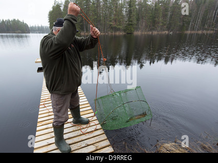 Uomo anziano il controllo di una trappola di pesce ( katiska ) , Finlandia Foto Stock