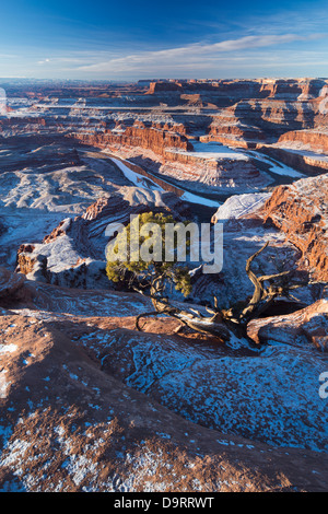 La Valle di Colorado dal Dead Horse Point all'alba, Utah, Stati Uniti d'America Foto Stock