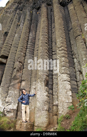 L'organo di formazione basaltica, nel "Causeway Route". Contea di Antrim, Irlanda del Nord costa, Regno Unito, Europa. Foto Stock