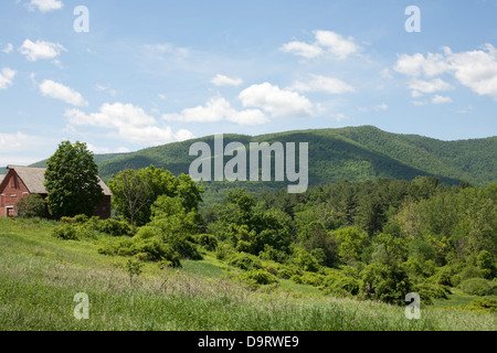 Vermont CSA (Comunità supportato Agricoltura) farm su una bella e soleggiata giornata di giugno. Foto Stock