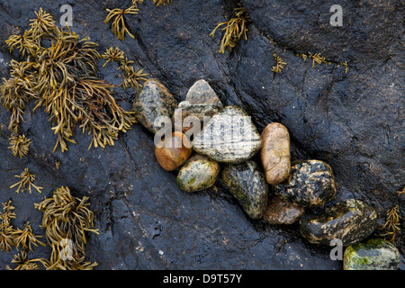 Dettagli sulla spiaggia a Lochinver, Sutherland, Scotland, Regno Unito Foto Stock