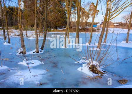 Wild Bog. Natura russo in inverno Foto Stock